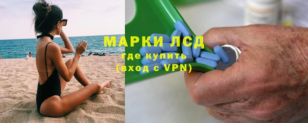 прущие грибы Волоколамск