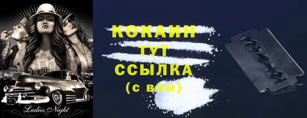 прущие грибы Волоколамск