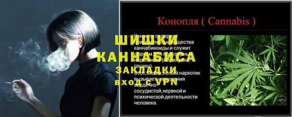 прущие грибы Волоколамск