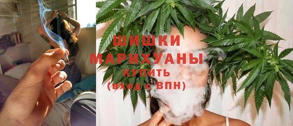 прущие грибы Волоколамск