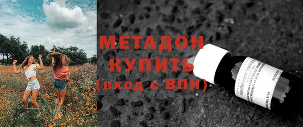 прущие грибы Волоколамск