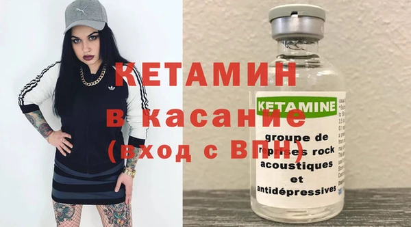 прущие грибы Волоколамск